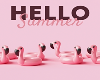 🦩 Hello Summer BG
