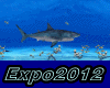 Expo 2012 (DxR)