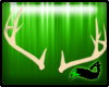 [Ari] Deer Antlers