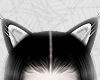 cat ears animated