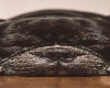 Cutout1720