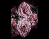 ashes-claire-guerreso