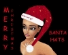 R|C *Santa hats*M/F