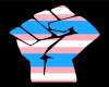 Trans Pride 2021