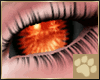 ~AM~ Lahar Eyes v5