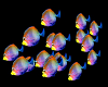 SL Fish Animated