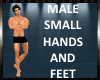 Small Hands Feet