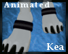 K!t- Kea Animated Anklet