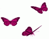 Floating Pink Butterflie