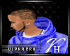 VH|Blue  Hoodie