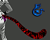 ~L~Cat Tail RedTiger M/F