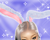 Bunny Ears White