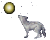 full moon and the wolf