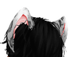Leopard Ears