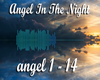 Angel in the night