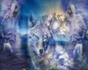Wolf Clan Dance Club