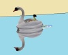 Lucky's Swan Boat