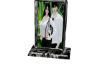 CP Photo.Ani SV