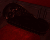 I. Black Couch NO POSES