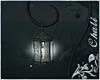 C* Nightsky Lantern