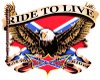 [DF] ride to live trans