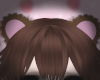 Bear ears