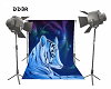 BLUE TIGER BACKDROP 