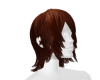 HAIR VZ2266FG