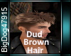 [BD]DudBrownHair