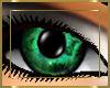 Cosmos Green Eyes