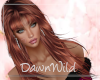Geiver Copper + Bangs