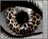 tr| Eyes : Leopard