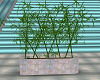 Bamboo Elegance Plant JD