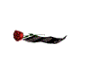 lettr damour