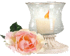 Rose with Candle