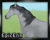[E]*Gray Horse*