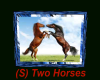 (S) Two Horses