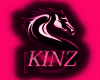 KINZ Banner