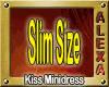 KISS Minidress