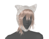 ^ཀ^ cappuccino cat