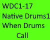 Native When Drums Call