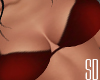 SD| Dark Red Bra