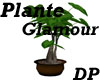 [DP]Plante Glamour