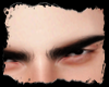 Arch Brows