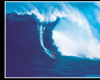 Surfing Hawaii Big Wave