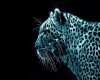 deco leopard picture