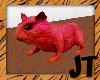 JT Redfire Guineapig