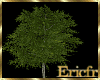 [Efr] Real Tree III v1