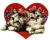 HW: Kitty Love
