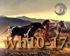 [wh10-17] Wild Horses(2)